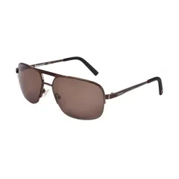 Timberland Brown Aviator UV Protection Sunglasses for Men-20