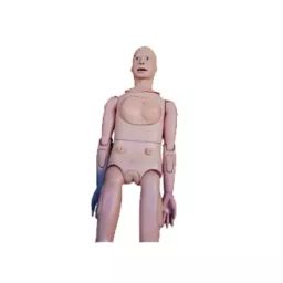 Khanna Traders Pharmacology Manikin-picture-30