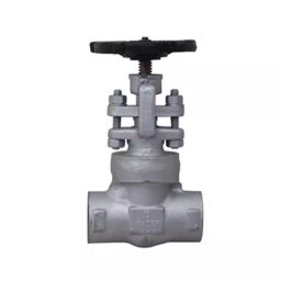 Leader FCS 010 Forged Cast Steel I Globe Valve 40 mm Class - 1500-image-66
