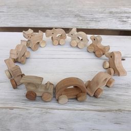 neemtoys Set of 10 Beautiful Push & Pull Toys for Toddlers - Made from Sustainable Neem Wood image 5