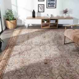 Obsessions Taupe Anti-Static Traditional Machine Made Meena Neo Classical Carpet - Large-image-15