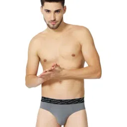 Van Heusen Grey Briefs-picture-48