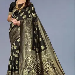 Moda Rapido Ethnic Motifs Woven Design Pure Silk Banarasi Saree-picture-48