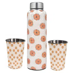 LA' FORTE Orange & White Single Stainless Steel Solid Single Wall Vacuum Water Bottle-image-96