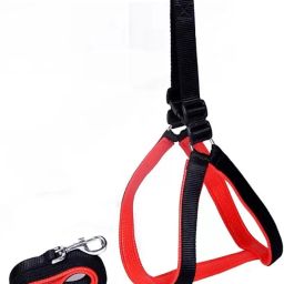 Dog Harness & Leash-image-47