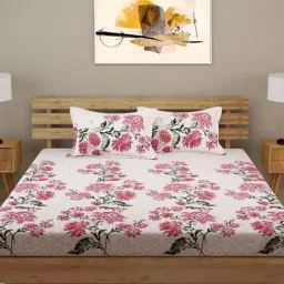 Romee Beige & Maroon 180 TC Bed Sheet Set-picture-21
