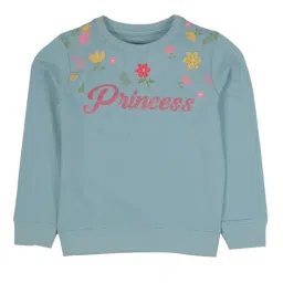 Plum Tree Kids Aqua Embellished Sweatshirt-image-62