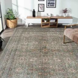 Obsessions Green Anti-Static Traditional Machine Made Classical Carpet - Medium-46