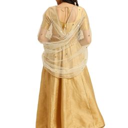 dupatta bazaar Women's Embellished Net Dupatta image 3