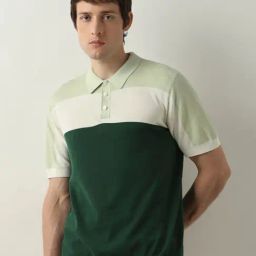 SELECTED HOMME Green Regular Fit Cotton Polo T-Shirt-image-82