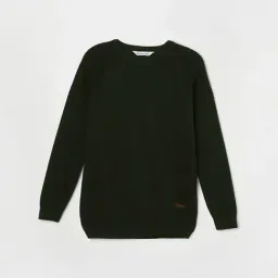 Fame Forever by Lifestyle Kids Olive Cotton Regular Fit Full Sleeves Sweater-picture-29