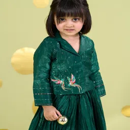 Vivedkids Girls Embellished Ready to Wear Lehenga &-picture-23
