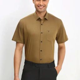 Allen Solly Khaki Cotton Slim Fit Self Pattern Shirt-image-38