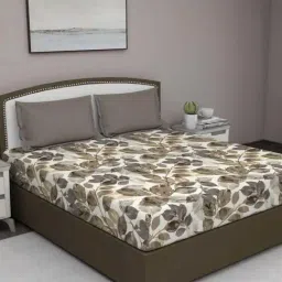 GM 'Serene' Beige & Brown Cotton 210 TC Double Bedsheet with 2 Pillow Covers-picture-35