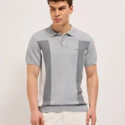 The Bear House Grey Regular Fit Colorblock Polo T-Shirt-image-4