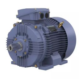 Marathon Three Phase 15 HP 4 Pole Flange TEFC Squirrel Cage Induction Motor, Series IE2-image-55