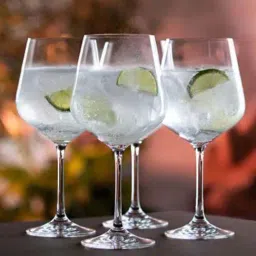 DARTINGTON Cheers Copa Transparent Crystal Gin & Tonic Drinking Glass (0.57 L) - Set of 4-57
