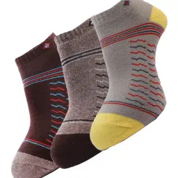 Dollar Multicolor Socks - Pack of 3-37
