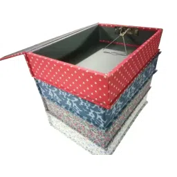AAGAM Multi-Color Printed F/s Size Clip-On Box File image 4