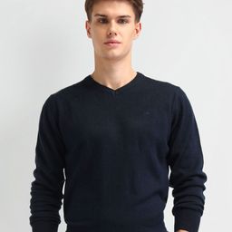 Arrow Men V-Neck Cotton Pullover-image-51