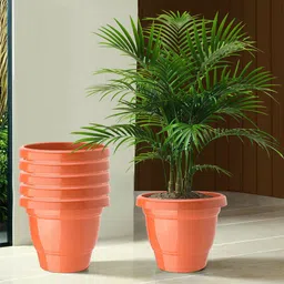 Kuber Industries Set Of 6 Orange-Coloured Planter With Pot image 1