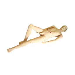 A-ONE SCIENCE PVC Advanced Elderly Fully Functional Training Manikin Male AOSBM288-picture-21