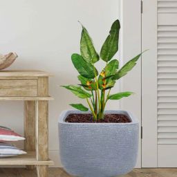 nora Square Grey Polyethylene Floor Planter-picture-27