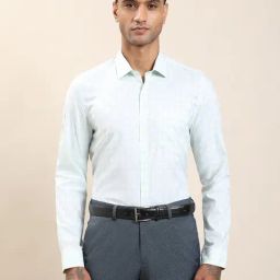 Turtle Sky Blue Cotton Slim Fit Checkered Formal Shirt-picture-18