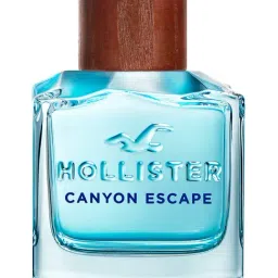 Hollister Canyon Escape Eau de Toilette for Him - 100 ml-image-42