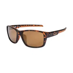 Timberland Brown Rectangular UV Protection Sunglasses for Men-29