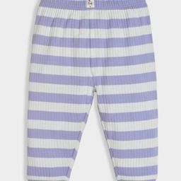 Mi Arcus Cotton Elastane Striped Pajama - Purple-picture-42
