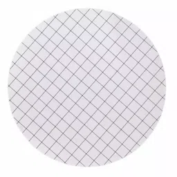 Borosil 47 mm Dia. and 0.45 µm Pore Size Gridded Cellulose Nitrate Boropure Membrane, 524745N (Pack of 100)-16