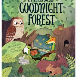 LT: Little Explorers:Goodnight Forest-23