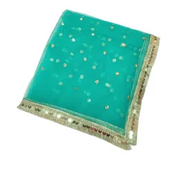 Navti Creations Embroidered Sequinned Dupatta-picture-40