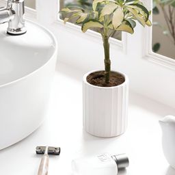 Claymistry White Textured Ceramic Planters-20