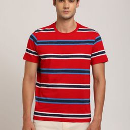 Indian Terrain Men Striped Regular Sleeves Round Neck T-shirt-image-96