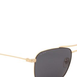Ted Smith Unisex Aviator Sunglasses with Polarised and UV Protected Lens HOLME_SGSG image 5