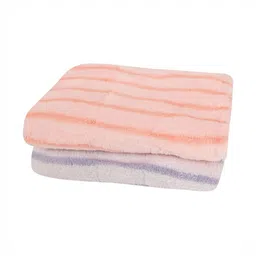 LOOM LEGACY 2-Pcs Blue & Pink Striped Kitchen Towel-image-73