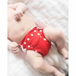 Babymoon Free Size Washable & Reusable 4 Cloth Diapers With 4 Grey Insert  Pack of 8 - Multicolor image 5