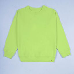 KiddoPanti Boys Solid Ribbed Hemline Sweatshirt-picture-47