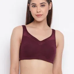 Enamor Grapewine Non Wired Non Padded T-Shirt Bra-picture-32