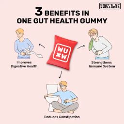 What's Up Wellness Gut Health Prebiotic,Probiotic Gummies for Digestion,Constipation-90Pcs image 5