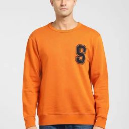 SELECTED HOMME Light Brown Cotton Regular Fit Sweatshirt-picture-43