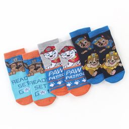 Cute Walk by Babyhug Cotton Blend Ankle Length Anti Bacterial Socks Paw Patrol Design Pack of 3 - Grey & Blue-image-18