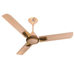 Standard by Havells Ceiling Fan Frorer Decor ES Champagne Pearl Brown 1200 mm, FSCRR1SCPB48-image-57