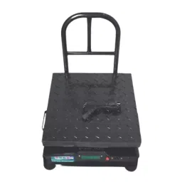 Kingstar KSP 400X400 Platform 150 Kg Weighing Machine-24