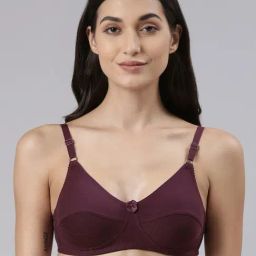 Dollar Missy Purple Cotton Seamless Bra-picture-28