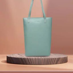 Caprese Zyla Mint Tote-10