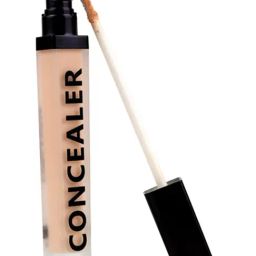 Daily Life Forever52 Coverup Concealer Biscuit - 7 ml-91