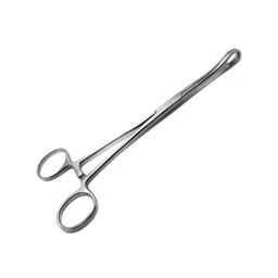 AANIJ Size 254 mm(10 Inch) Forceps Sponge Holding - Silver ASFSY0409-25